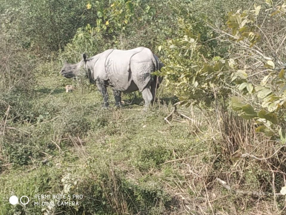 Photo of Kaziranga National Park, Golaghat, Assam, India by Joshi KJ