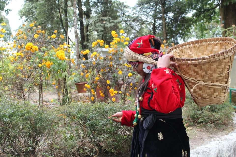 Photo of A fortnight through the Northeast #northeastphotos by Joshi KJ