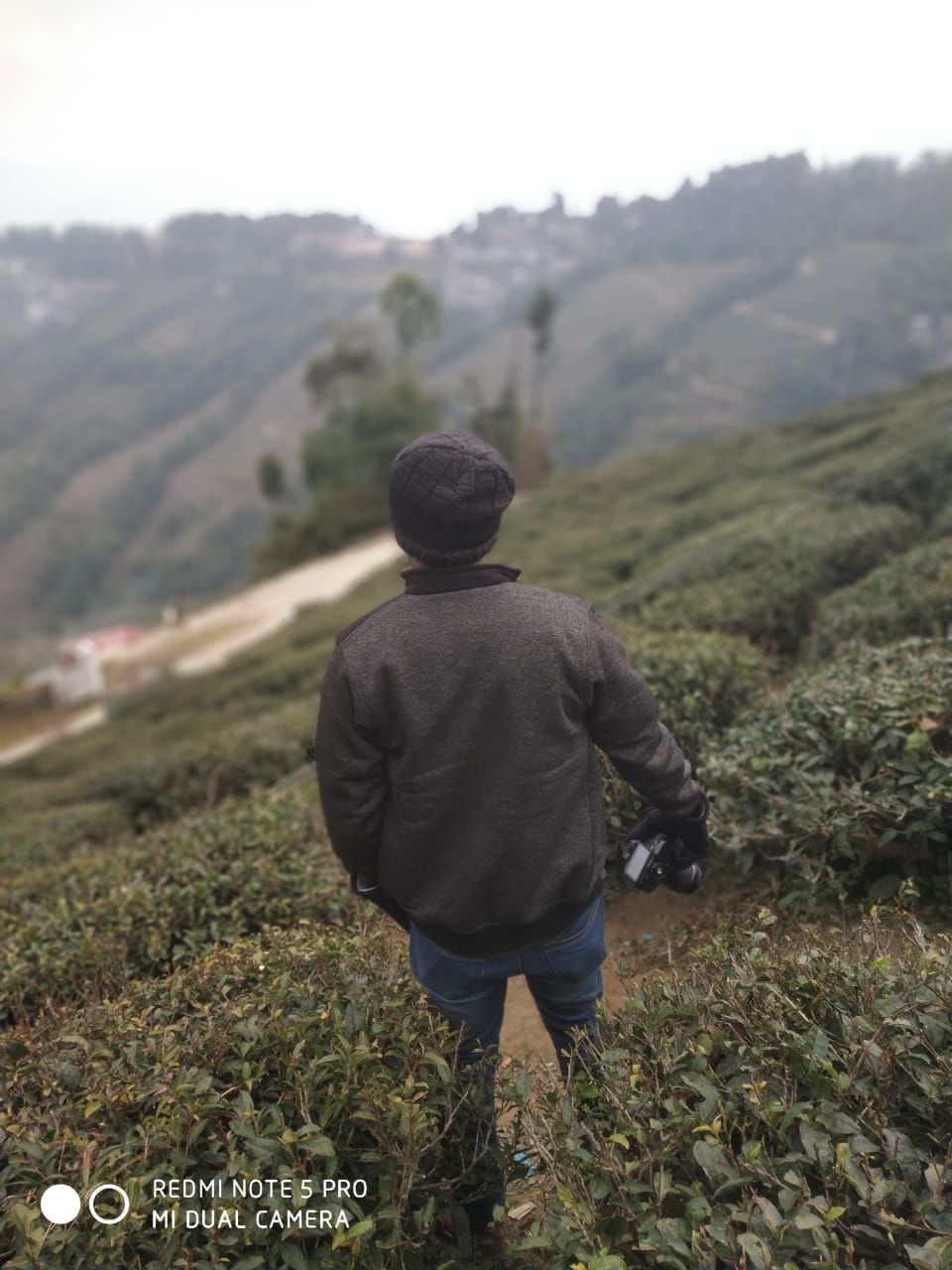 Photo of The darling of the Masses, Darjeeling in 24 hrs by Joshi KJ