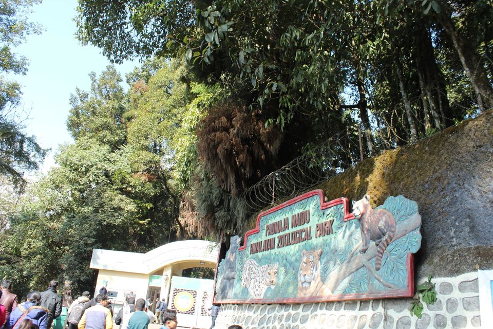 Photo of The darling of the Masses, Darjeeling in 24 hrs by Joshi KJ