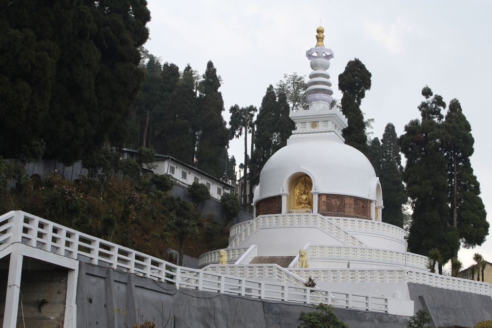 Photo of The darling of the Masses, Darjeeling in 24 hrs by Joshi KJ