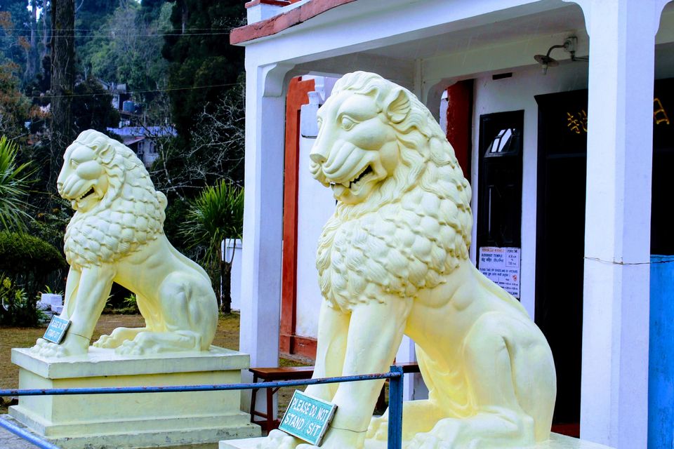 Photo of The darling of the Masses, Darjeeling in 24 hrs by Joshi KJ