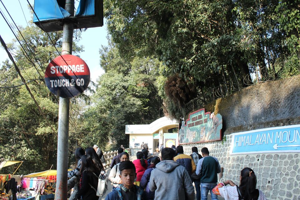 Photo of The darling of the Masses, Darjeeling in 24 hrs by Joshi KJ