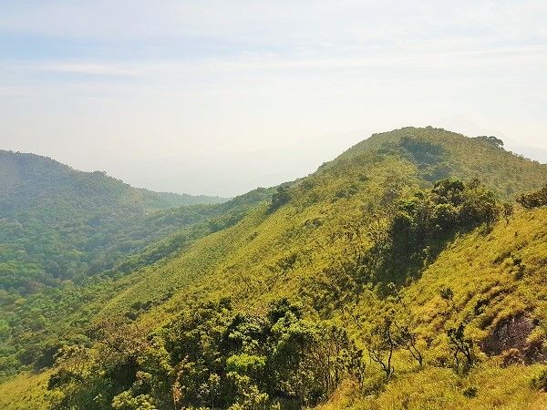 Photo of Trek To Tadiandamol Peak In Coorg - First Trek Of My Life by Ankit Saxena