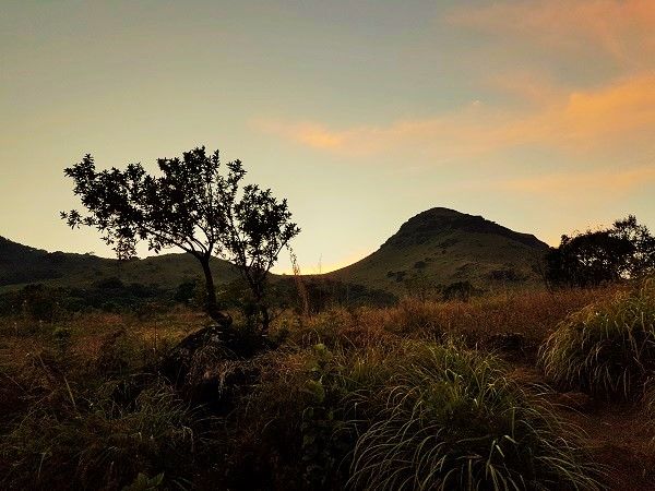 Photo of Trek To Tadiandamol Peak In Coorg - First Trek Of My Life by Ankit Saxena