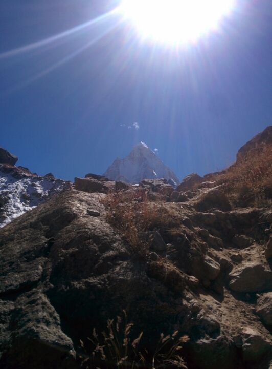 Photo of Tapovan Trek – First 'Peak' Love (Mt Shivling) 22/30 by Mayank Negi