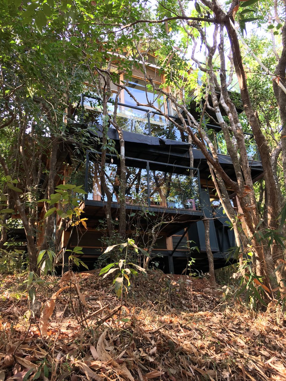 Photo of Staycation at Machan, Lonavala: Up in the trees by Rashmi Sonam