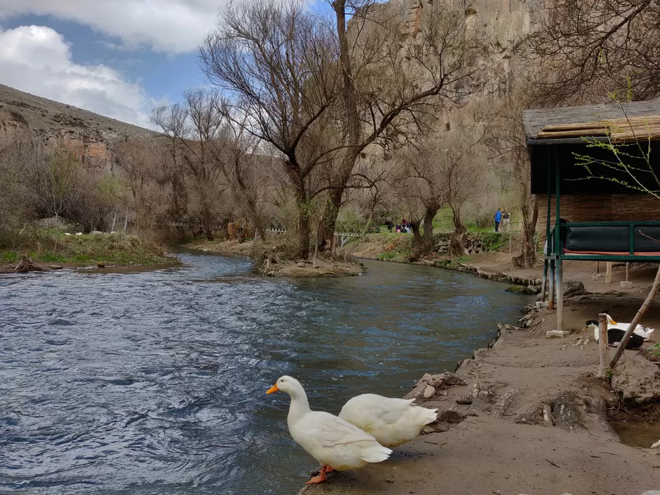 Photo of My solo trip to Turkey: The best of both worlds by Pranav Risbud