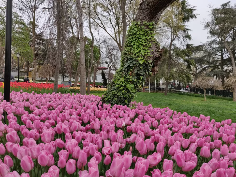 Photo of Istanbul, Turkey by Pranav Risbud