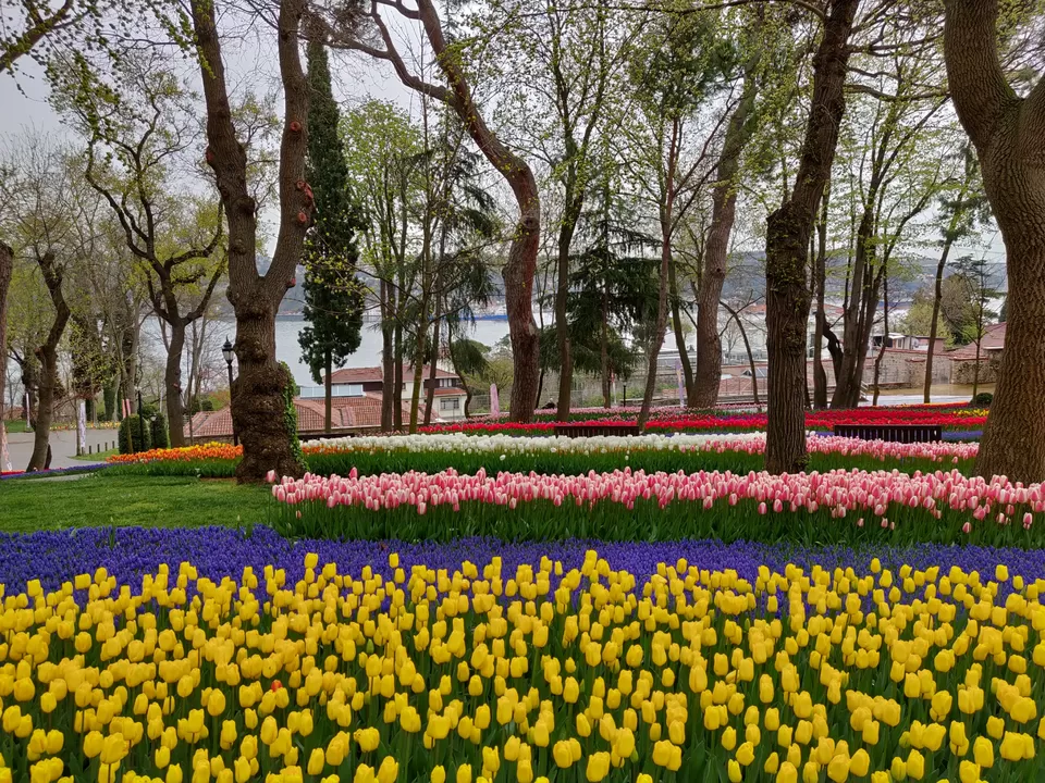 Photo of Istanbul, Turkey by Pranav Risbud
