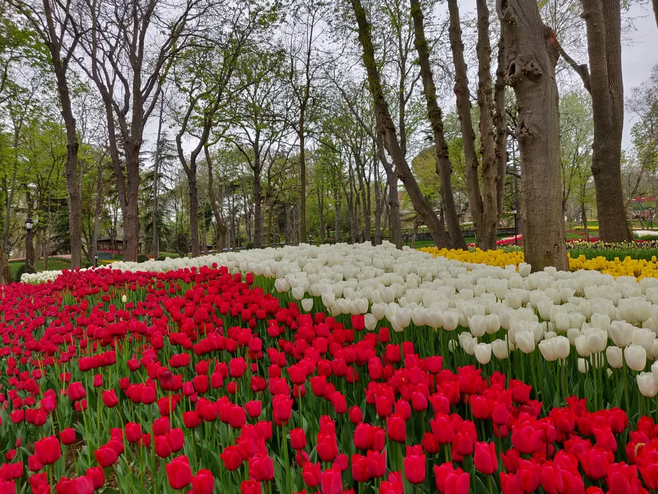 Photo of Istanbul, Turkey by Pranav Risbud