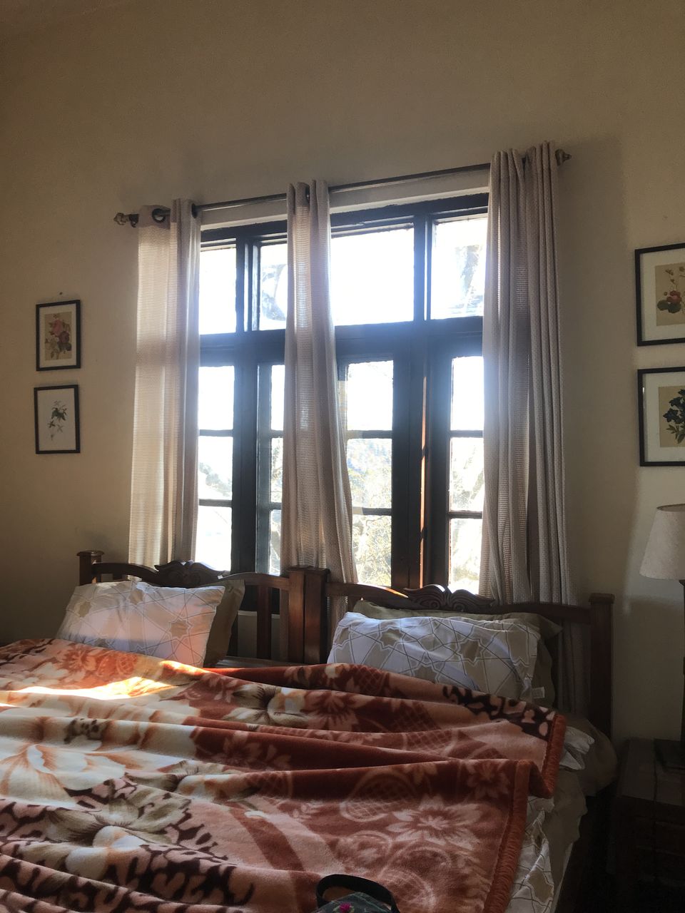 Photo of The Kashi villa in Kasauli is everything you read about in a Ruskin Bond novel come alive by Vidhi Bubna