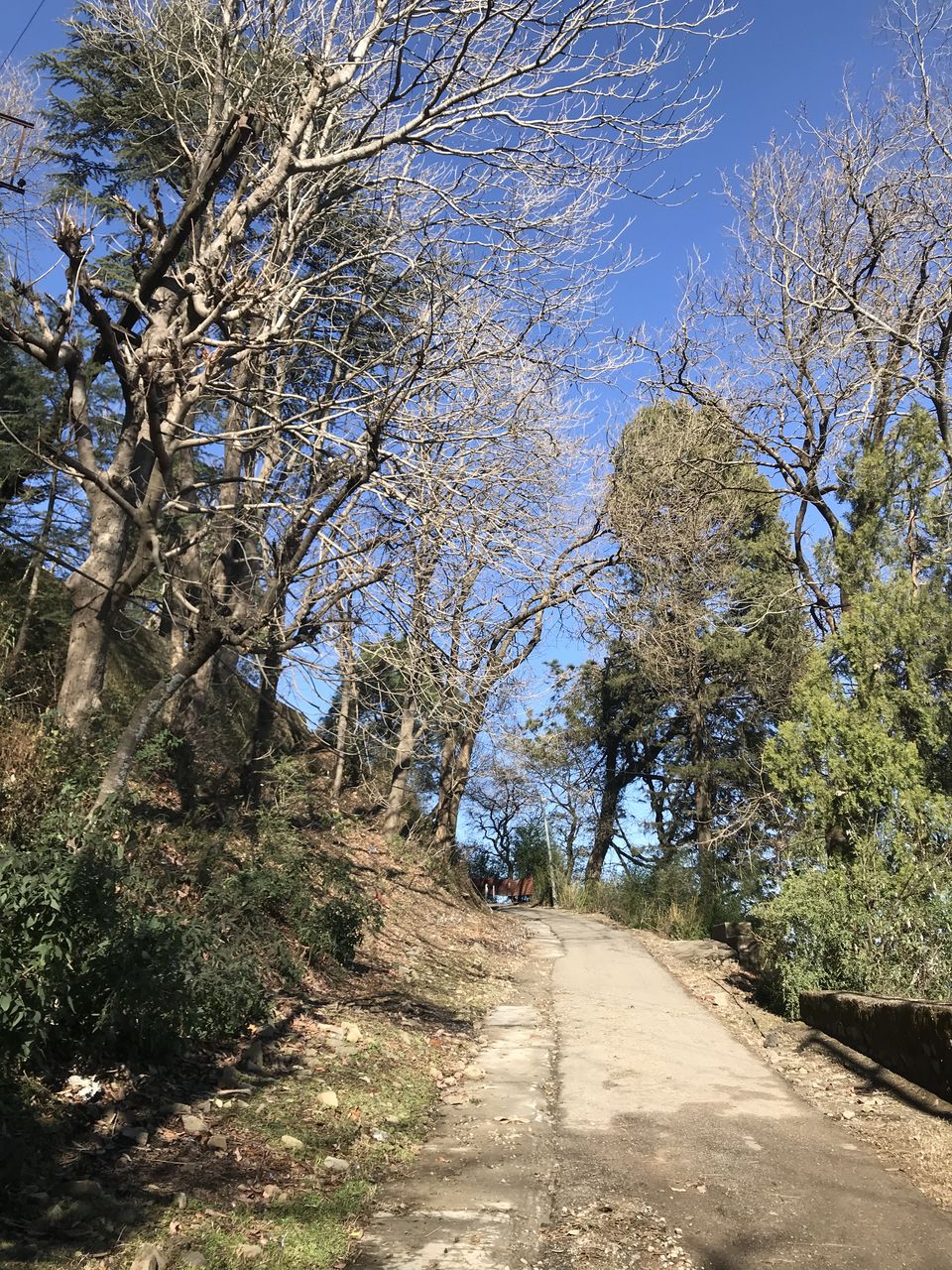 Photo of Mall Road, Kasauli, Himachal Pradesh, India by Vidhi Bubna