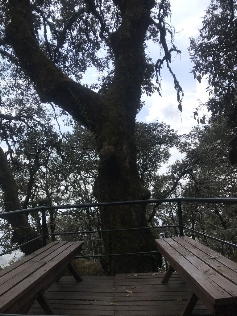 Photo of Reconnect with yourself at the Rokeby Manor in Landour by Vidhi Bubna