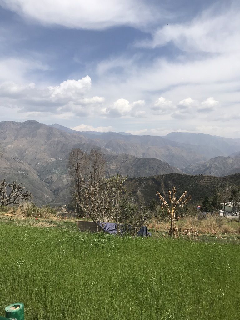 Photo of Reconnect with yourself at the Rokeby Manor in Landour by Vidhi Bubna