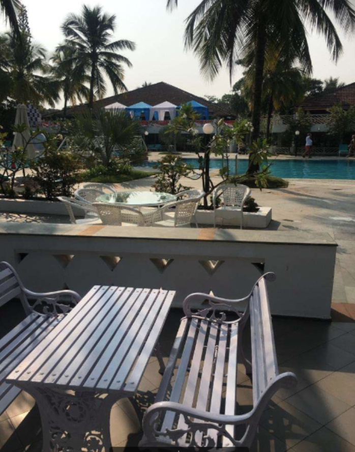 Photo of Seagull, GOA, Goa, India by Vidhi Bubna