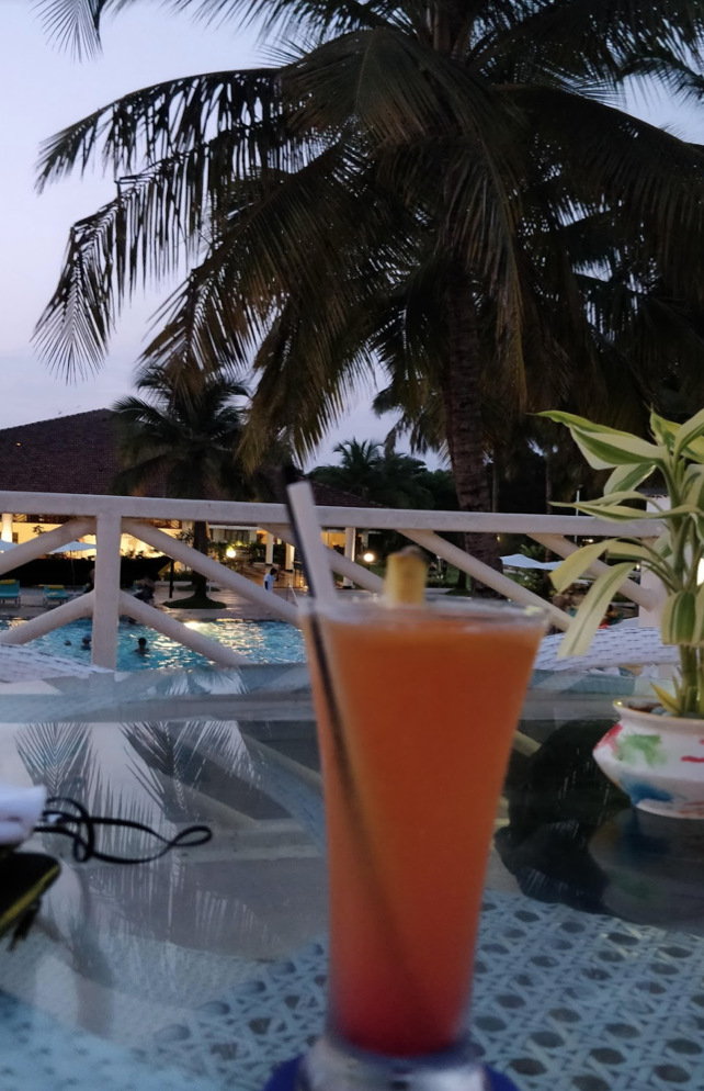 Photo of Seagull, GOA, Goa, India by Vidhi Bubna