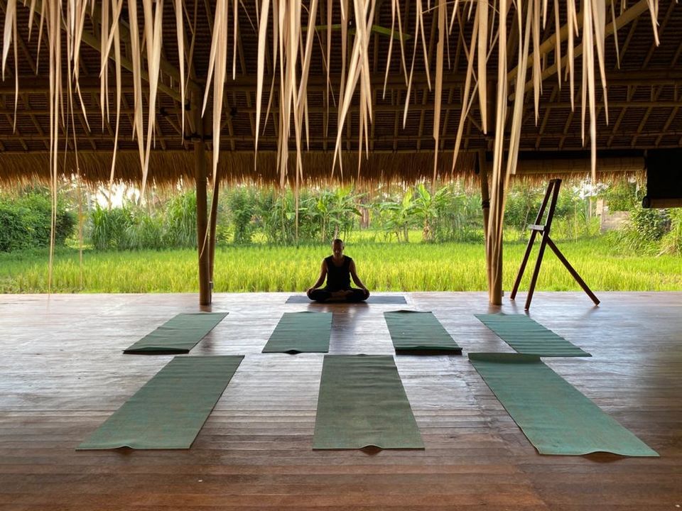 Photo of Live in a doorway to the forest on your dream Bali trip by Vidhi Bubna