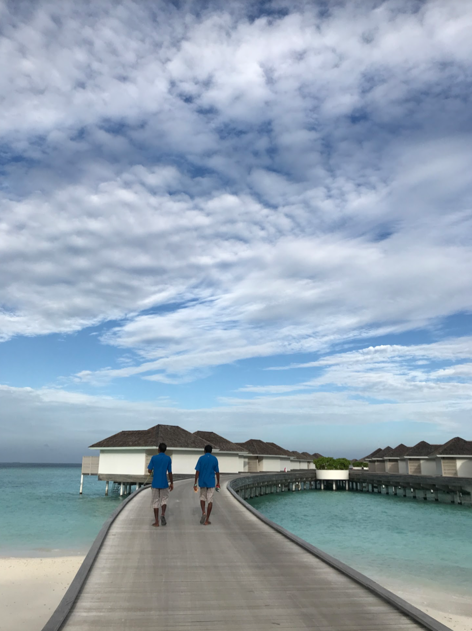 Photo of I snorkeled with turtles, chased dolphins on a jet ski and did much more at Kandima Maldives by Vidhi Bubna