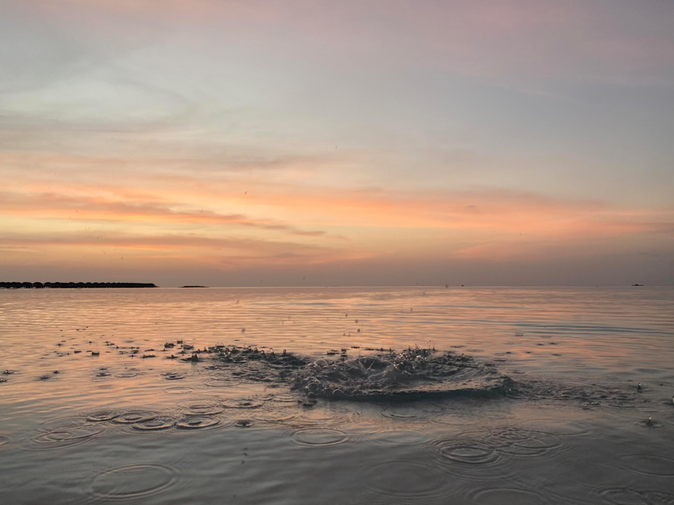 Photo of I snorkeled with turtles, chased dolphins on a jet ski and did much more at Kandima Maldives by Vidhi Bubna