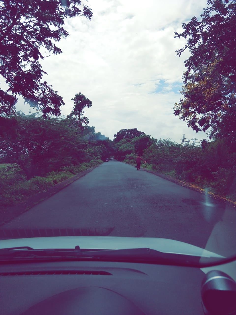 Photo of Igatpuri, Maharashtra, India by Ankita Pratik Naik