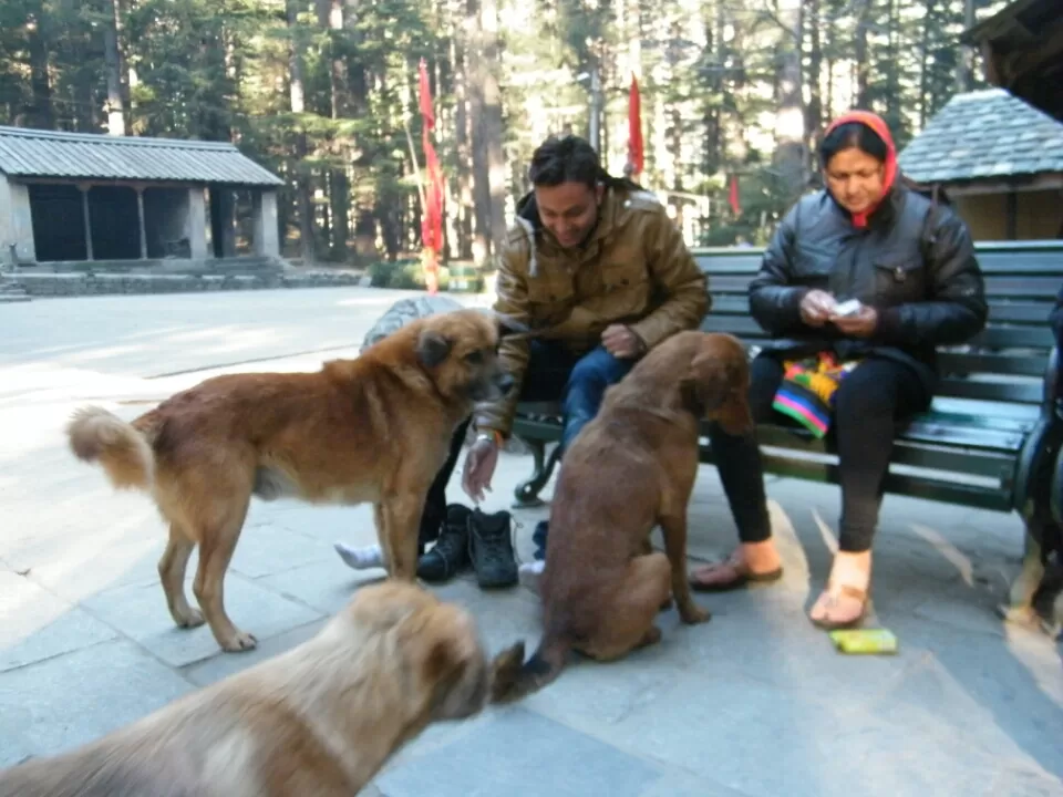 Photo of Shimla, Himachal Pradesh, India by Jay Bhansali