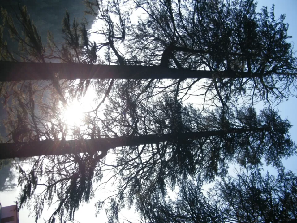 Photo of Shimla, Himachal Pradesh, India by Jay Bhansali