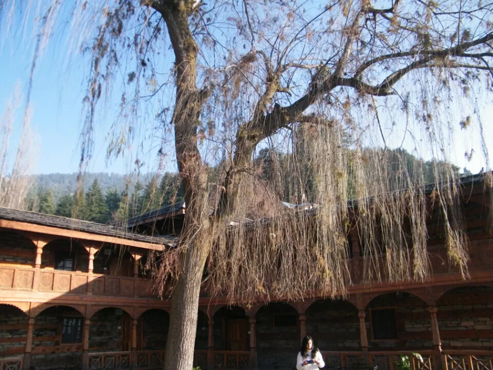Photo of Shimla, Himachal Pradesh, India by Jay Bhansali