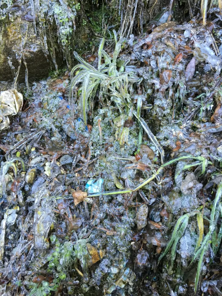 Photo of Shimla, Himachal Pradesh, India by Jay Bhansali