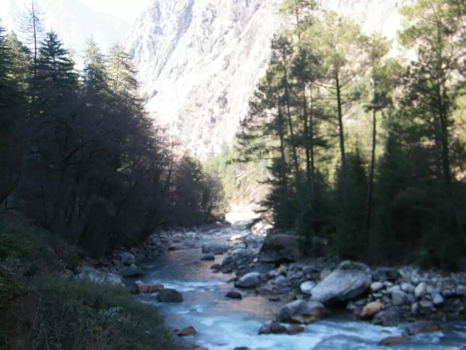 Photo of Shimla, Himachal Pradesh, India by Jay Bhansali