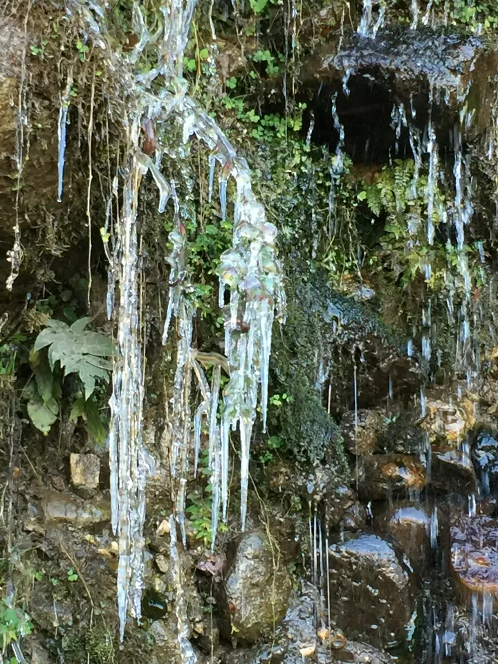 Photo of Manali, Himachal Pradesh, India by Jay Bhansali