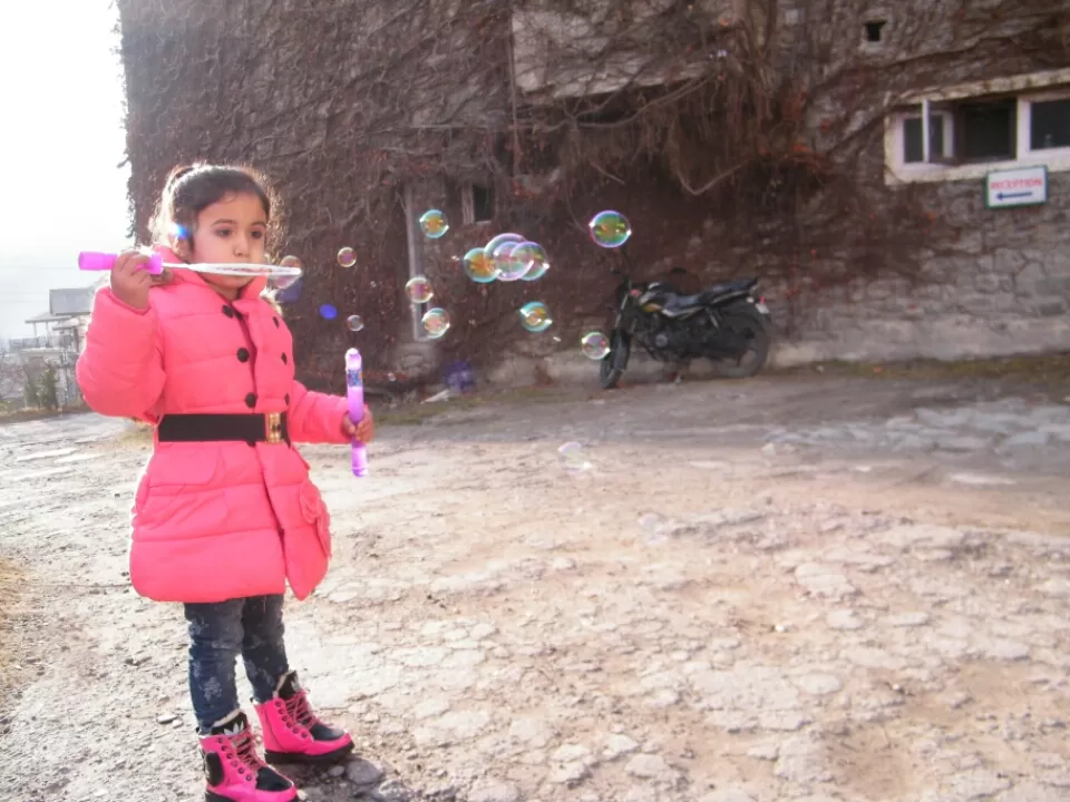 Photo of Manali, Himachal Pradesh, India by Jay Bhansali