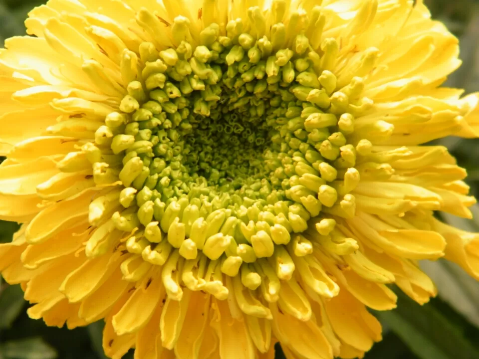 Photo of Manali, Himachal Pradesh, India by Jay Bhansali
