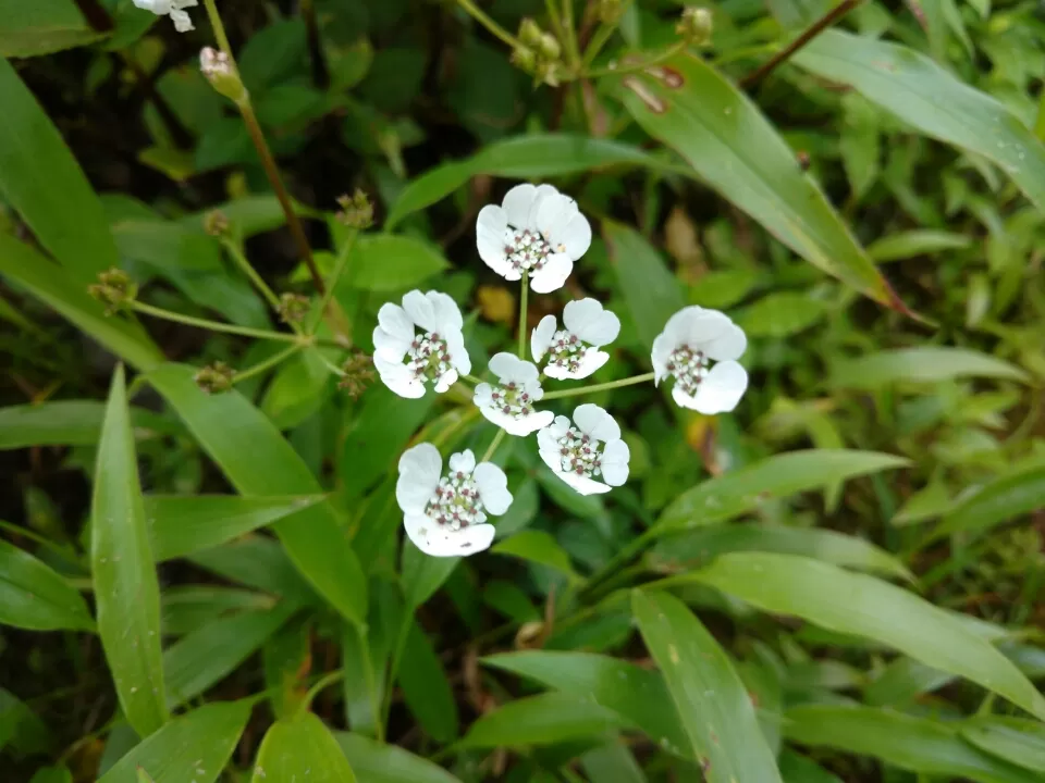 Photo of Satara by Jay Bhansali