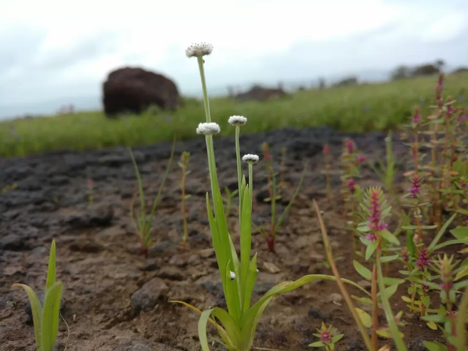Photo of Satara by Jay Bhansali