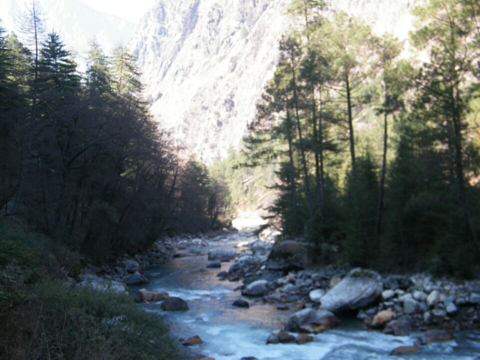 Photo of Shimla, Manali: The Great Himalayan Adventures 4/6 by Jay Bhansali