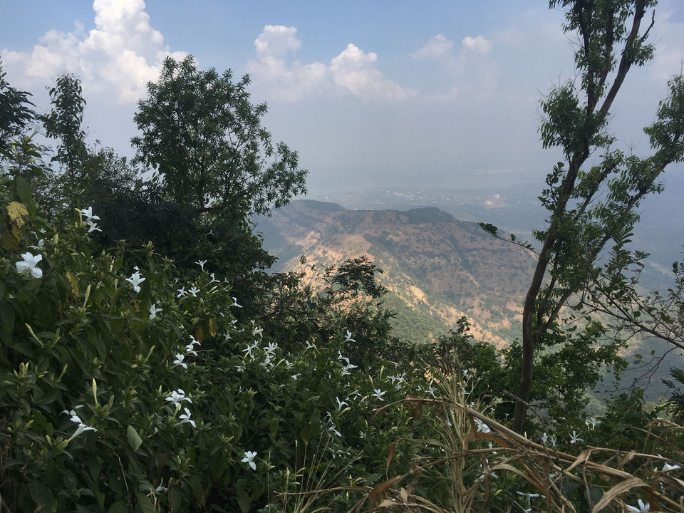 Photo of TravelCheatSheet- Trek To Sinhagarh, Pune by Amod Tripathi