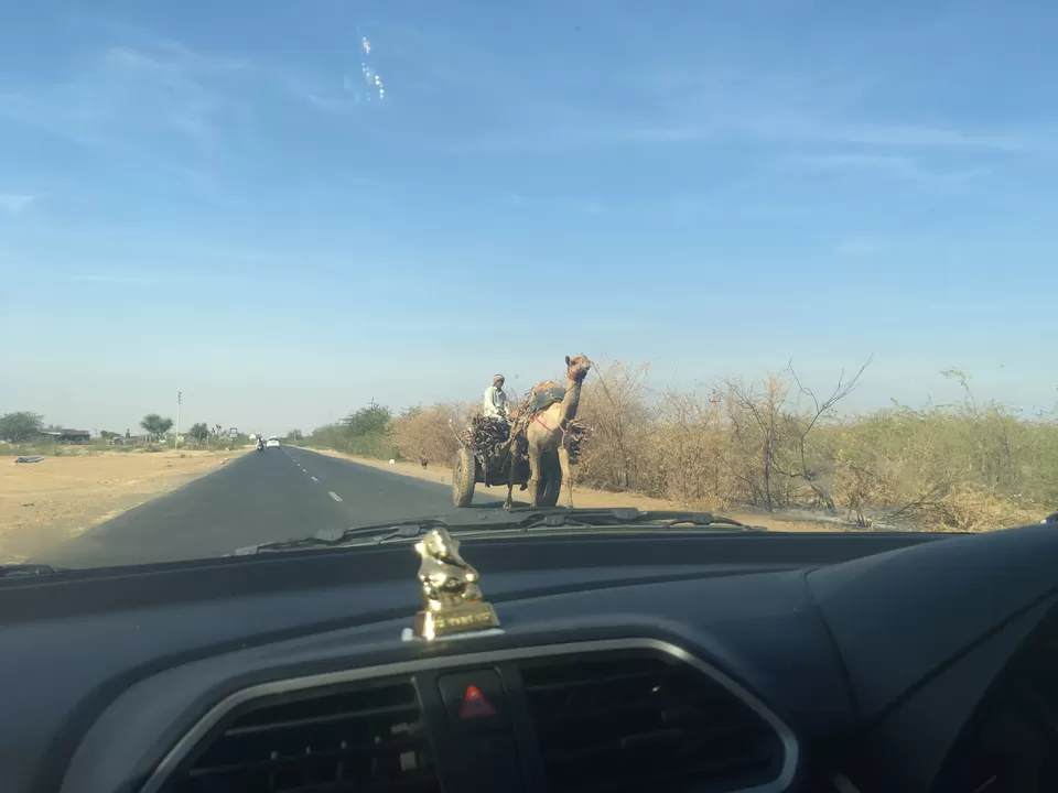 Photo of Gujarat by Amod Tripathi