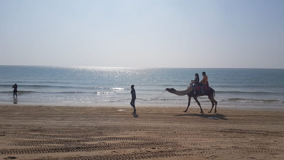 Photo of Travelcheatsheet: Road Trip To Rann Of Kutch! by Amod Tripathi