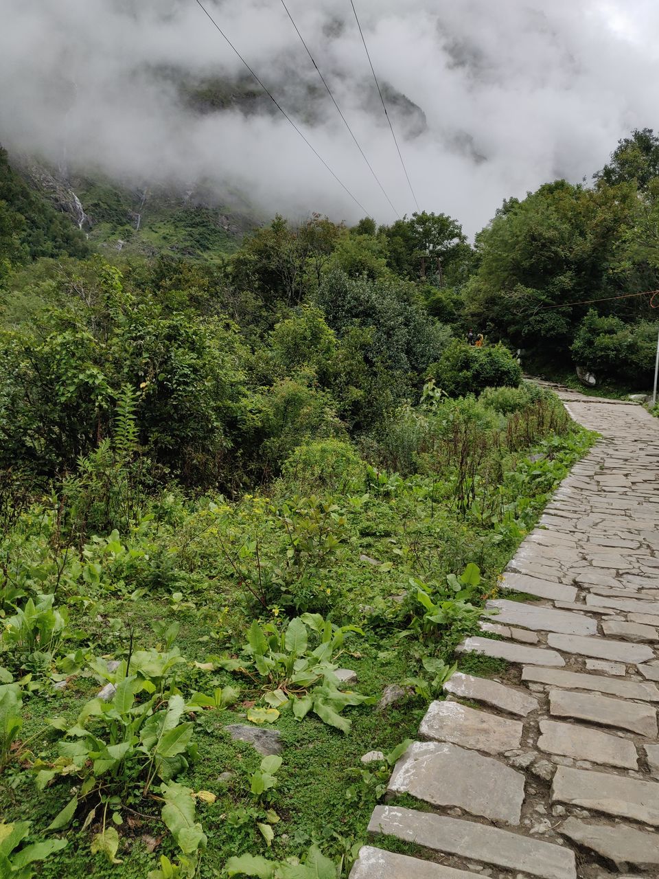 Photo of Trek to valley of flowers and Hemkund || Badrinath and Mana visit || Trek to Vasudhara falls by letsdosometravel
