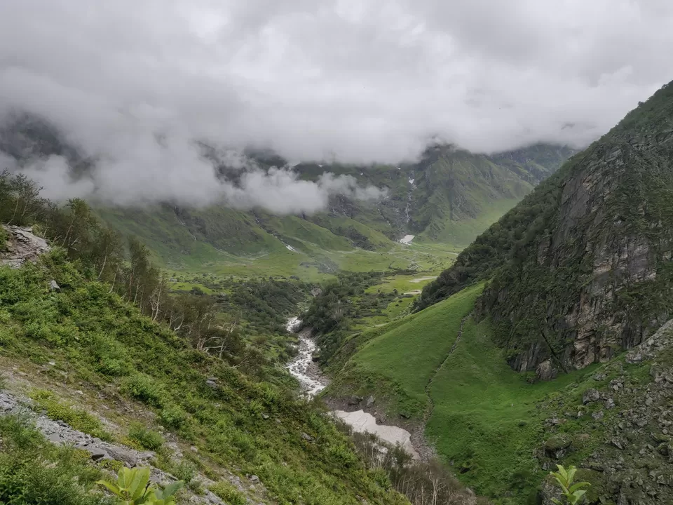 Photo of Valley of Flowers National Park, Uttarakhand, India by letsdosometravel