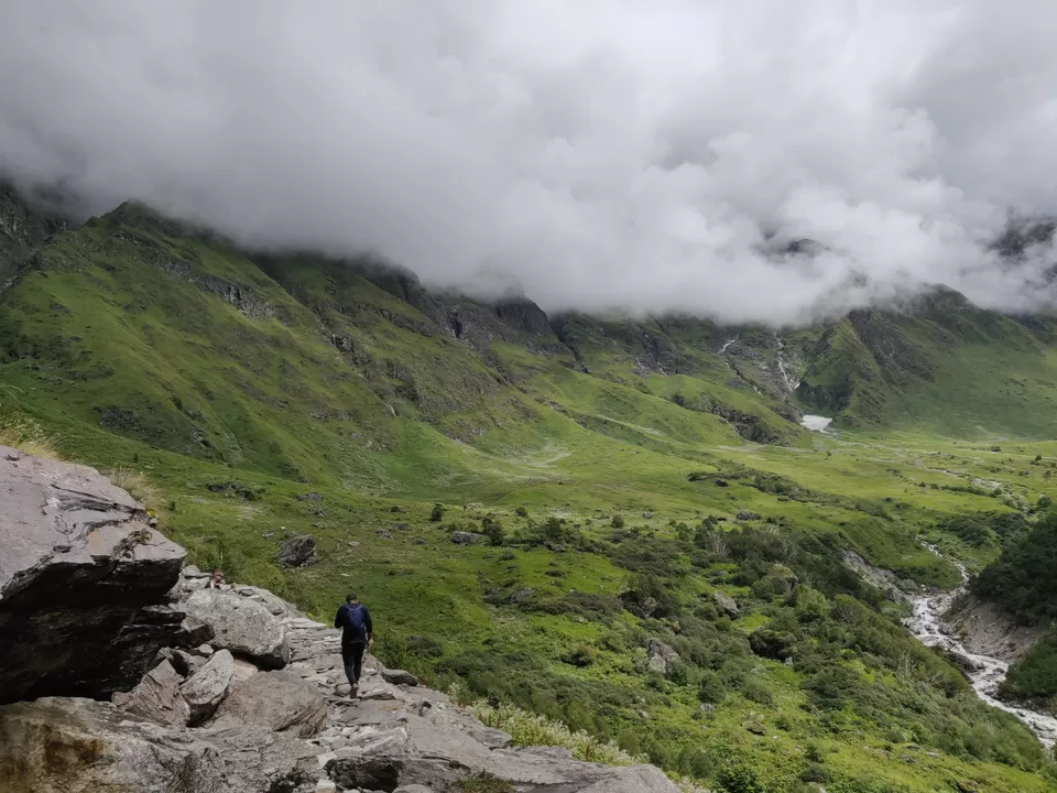 Photo of Valley of Flowers National Park, Uttarakhand, India by letsdosometravel