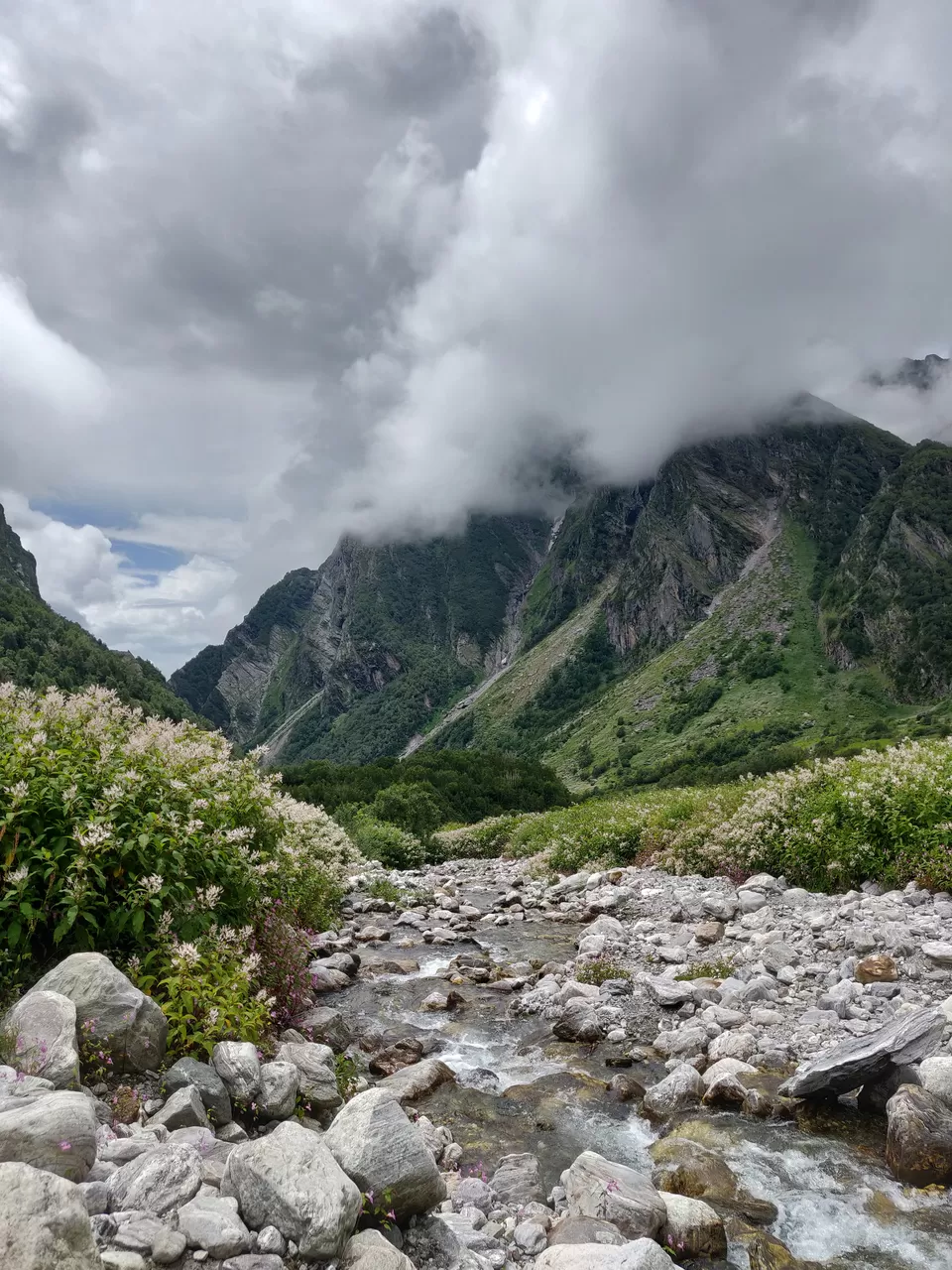 Photo of Valley of Flowers National Park, Uttarakhand, India by letsdosometravel