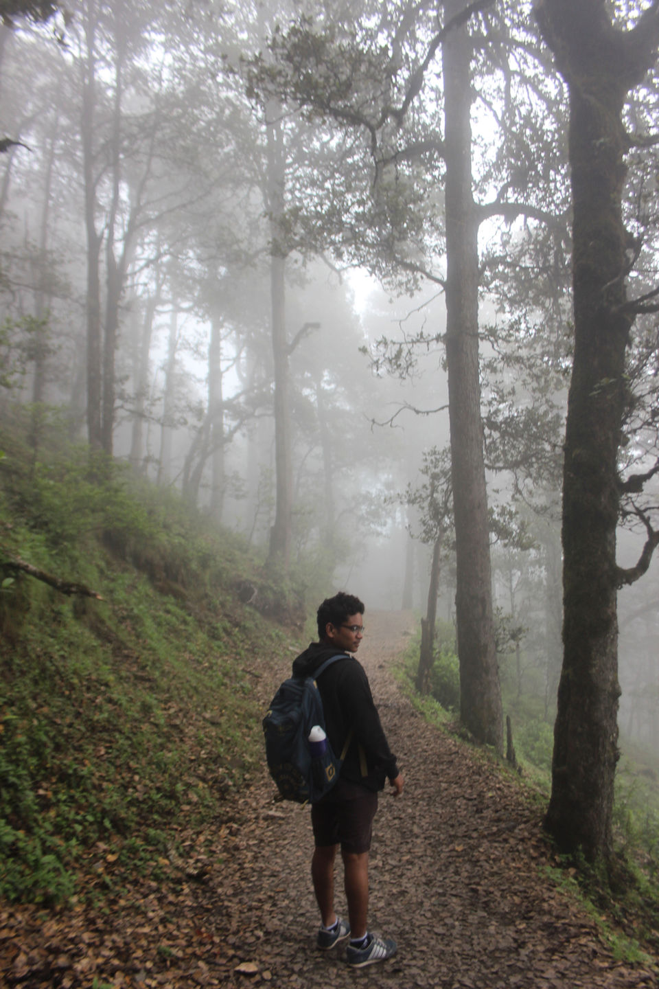 Photo of Tirthan Valley, Pekhri, Himachal Pradesh, India by himanshu Koshle