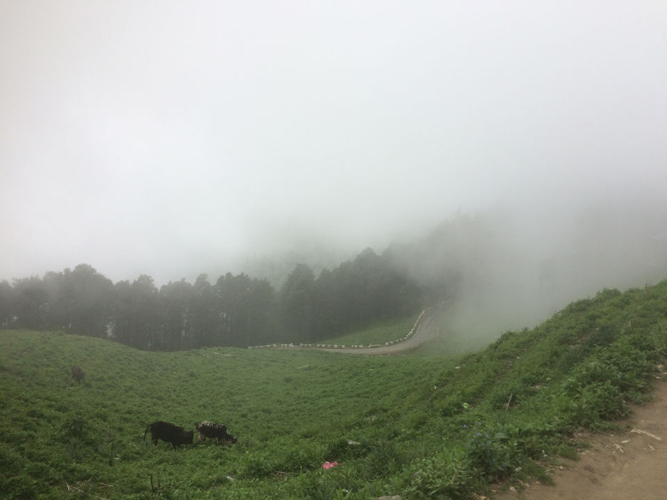 Photo of Tirthan Valley, Pekhri, Himachal Pradesh, India by himanshu Koshle