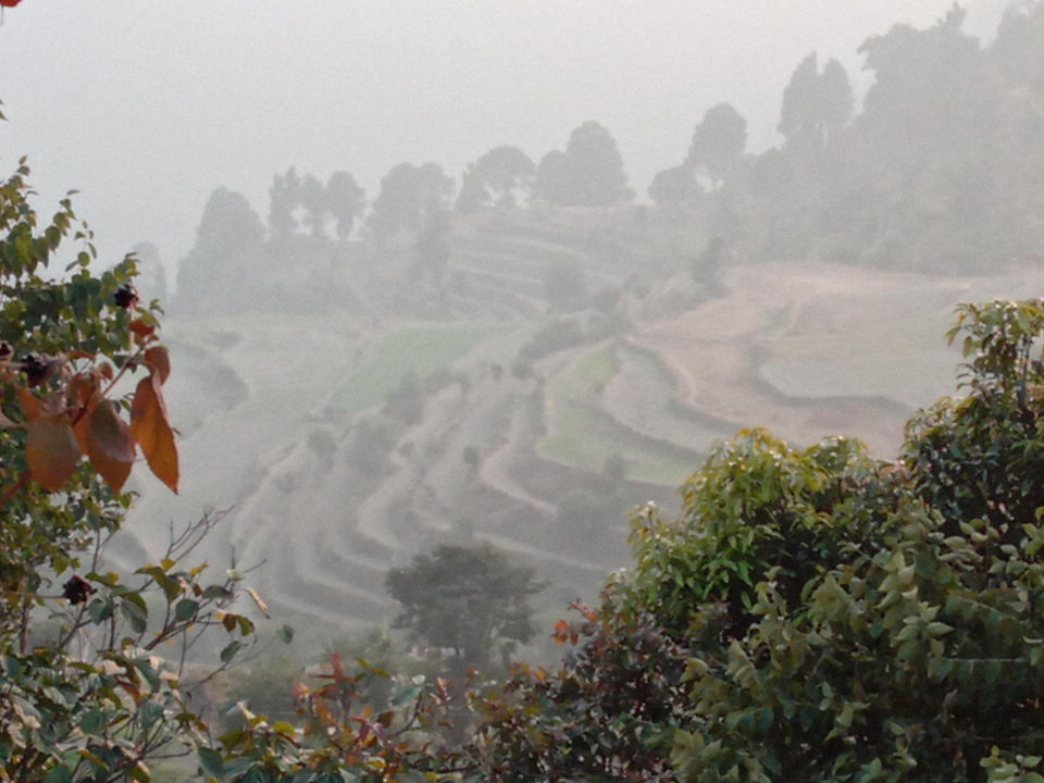 Photo of Nainital, Uttarakhand, India by himanshu Koshle