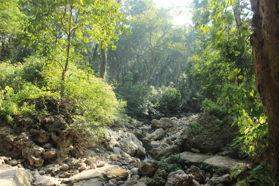 Photo of Nainital, Uttarakhand, India by himanshu Koshle