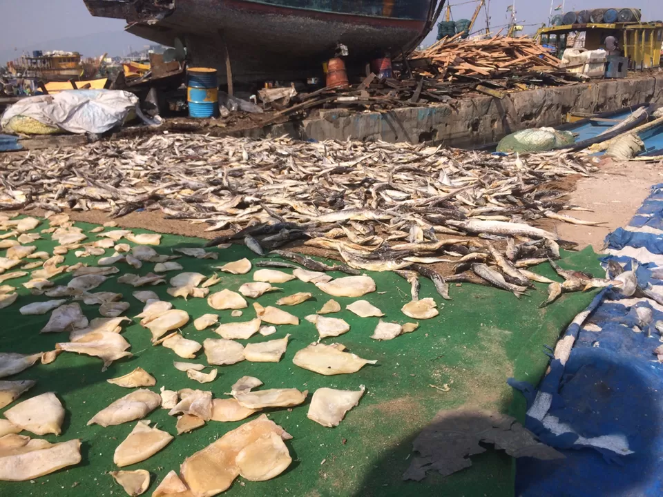 Photo of Vizag—- fish land by himanshu Koshle