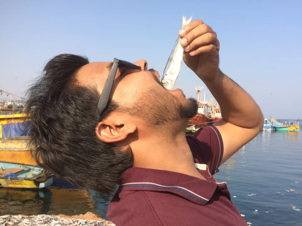 Photo of Vizag—- fish land by himanshu Koshle