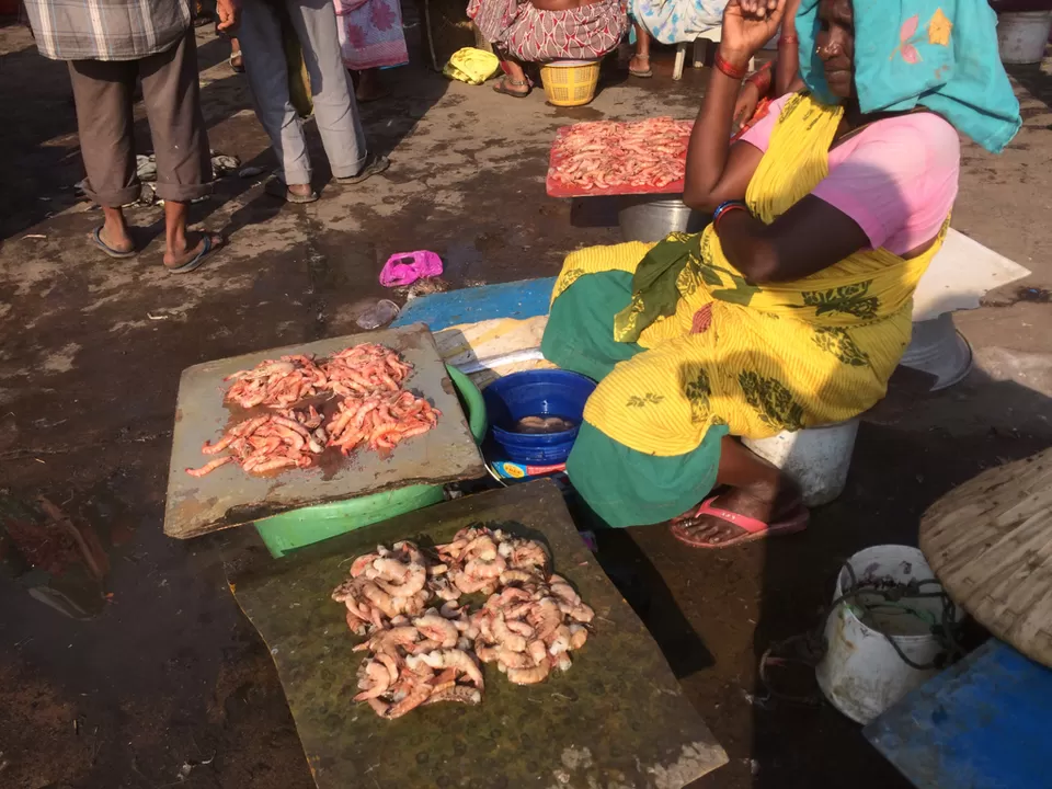 Photo of Vizag—- fish land by himanshu Koshle